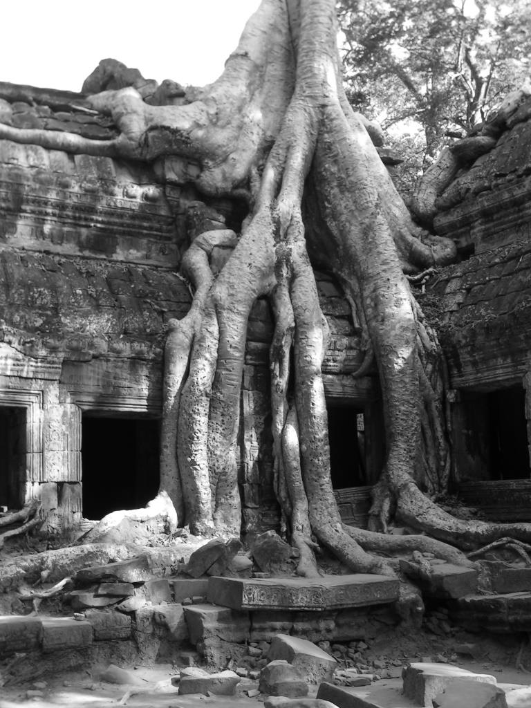 Kambodscha - Ta Prohm - 2004